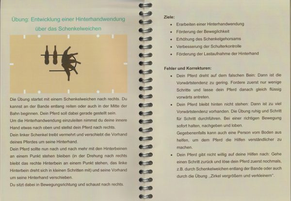 Trainingstagebuch Reiten, Trainingstagebuch Pferd, Trainingstagebuch Anna Köhler, Reitertagebuch, Übungsideen Reitunterricht